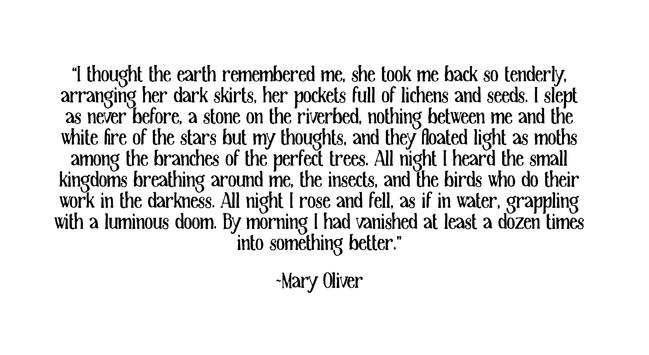 “I thought the earth remembered me, she took me back so tenderly, arranging her dark skirts, her pockets full of lichens and seeds. I slept as never before, a stone on the riverbed, nothing between me and the white fire of the stars but my thoughts, and they floated light as moths among the branches of the perfect trees. All night I heard the small kingdoms breathing around me, the insects, and the birds who do their work in the darkness. All night I rose and fell, as if in water, grappling with a luminous doom. By morning I had vanished at least a dozen times into something better.”
~Mary Oliver