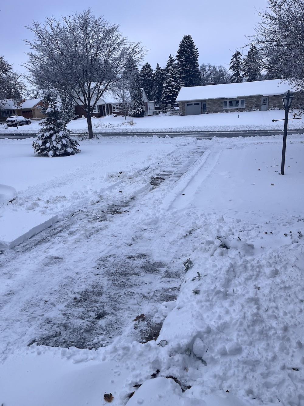 Our driveway this morning