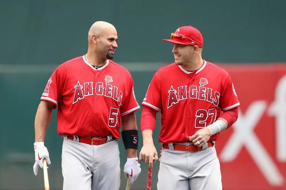 Download app from the App Store