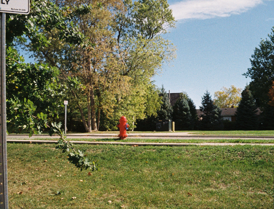 A bright red fire hydrant shines in the sun.