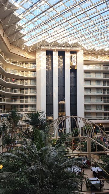 Atrium of a hotel with brass elevators, glass skylight, and tropical landscaping.