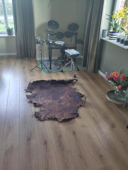 Huid op de grond in de woonkamer