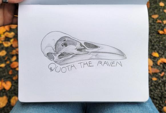 A sketchbook page opened to a drawing of a raven's skull with the words "Quoth the raven" written underneath, the entire thing rendered in pencil. The sketchbook is being held resting on the artist's lap as she sits on a park bench, with a scattering of yellow orange autumn leaves visible on the ground, creating a frame around the sketchbook page.