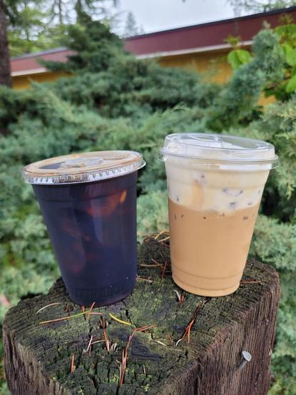 2 clear to go cups of dark coffee resting on a wooden post. Left cup is black cold brew, right cup is brown Vietnamese coffee topped with an inch of white salted cream.
