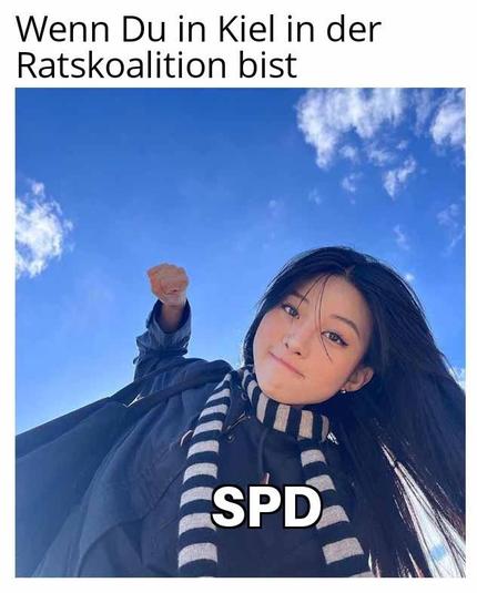 Meme 
"Wenn Du in Kiel in der Ratskoalition bist"
POV Eine Person "SPD" schlägt Dir in die Fresse