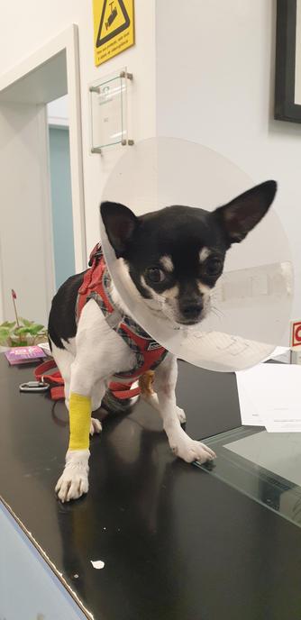 well so far all good