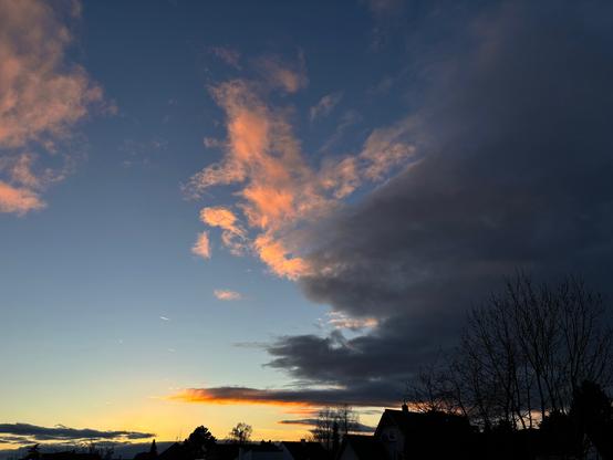 Am unteren Bildrand zeigt sich 
rechts die Silhouette eines großen Baumes, der bereits komplett sein Laub verloren hat. Dahinter zeigt sich der im linken Teil zart bewölkte tiefblaue Nachthimmel. Im rechten Teil zieht eine große Wolke fast vom oben nach unten durchgehend durchs Bild, die linksseitig zart rosa angehaucht wird. Die Sonne selbst ist nicht mehr zu sehen und sendet im unteren linkenTeil gelbes Licht, dass nach oben in zartes Rosa übergeht.