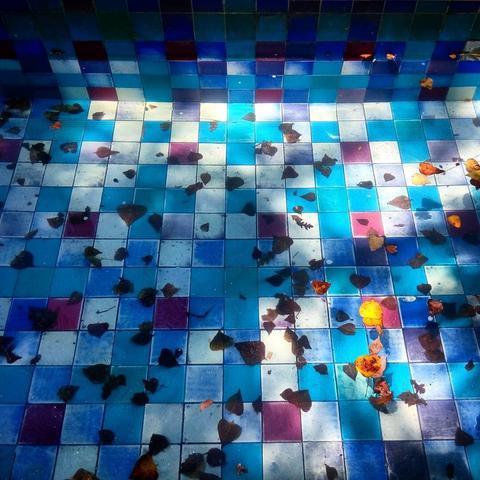 multicolored tiles under autumn colored leaves