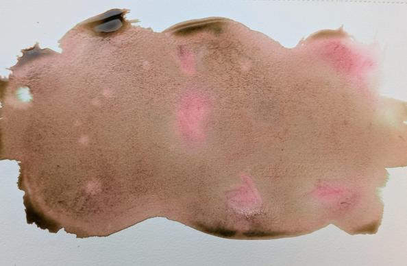 A still-wet blob of watercolour paint, in light brown with spots of pink.