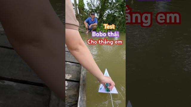 Test bobo thái cho thằng em #Tranfish #pet #fish #aquarium #fishing