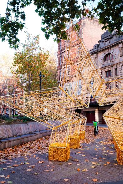 A holiday decoration installation of three large stars made mostly of strands of golden lights is set against a backdrop of autumn trees and historic buildings. Fallen leaves cover the ground, and a green bicycle can be seen through the centre of the stars.