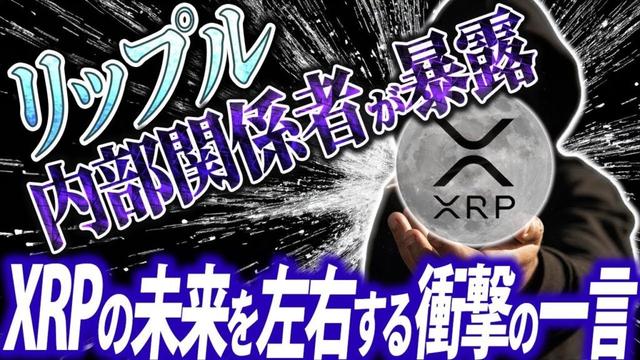 【必見】リップルの内部関係者がXRPの真実を語る。#リップル #xrp #暗号通貨
