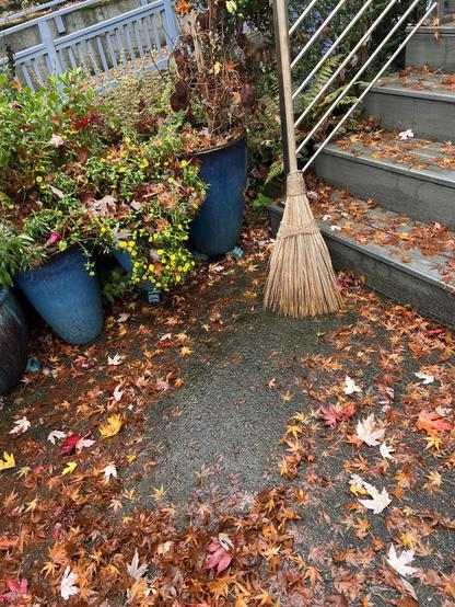 An old fashioned witchy looking broom stood against a stair rail. Before it are some wet leaves on a sidewalk. A clear swath has been swept up through the middle of the leaves. Blue planters on the left are fading for the autumn.