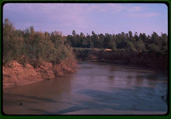The image depicts a serene natural landscape, showcasing a river flowing through what appears to be the Jordan Valley. The water exhibits various shades of brown and green, indicating possible sediment content or reflections from surrounding vegetation. On either side of the riverbanks are steep banks composed of reddish-brown earth with sparse tree coverage at their tops. These trees have thin trunks and appear somewhat barren in some sections.

Beyond the immediate vicinity of the riverbank, a densely wooded area stretches across the horizon under a clear sky that blends into hues from light blue to soft pink near the top edge, suggesting either early morning or late afternoon lighting conditions.

There's no visible human activity within this tranquil setting. The overall atmosphere exudes a sense of natural beauty and untouched wilderness.