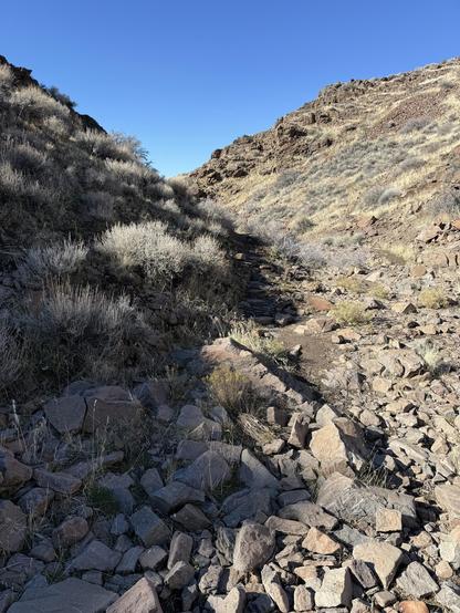 A very rocky, narrow trail between two steep slopes.