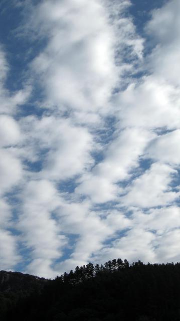 Fotografía en color, vertical, del cielo lleno de nubes