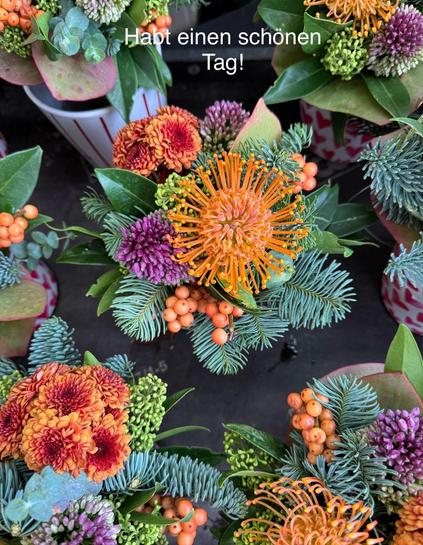 Mehrere Blumensträuße mit Nadelkissen-Protea, von oben fotografiert