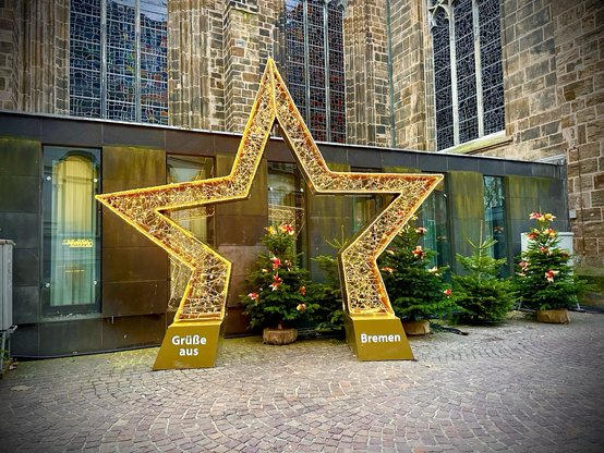 Ein Deko-Weihnachtsstern, der beleuchtet ist und dahinter sind kleinere geschmückte Weihnachtsbäume