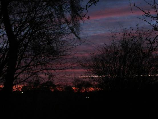 Sonnenaufgang hinter fast kahlen Bäumen. Über Orange, Lila zu Blau.