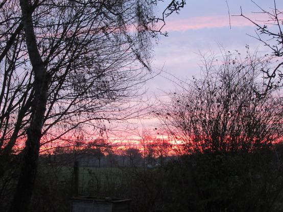 Sonnenaufgang hinter fast kahlen Bäumen. Über Orange, Lila zu Blau und Hellblau.