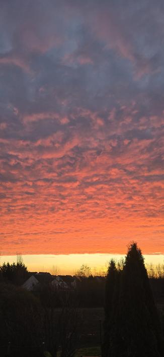 Bild im Hochformat. Kurz vor Sonnenaufgang liegt auf dem Horizont ein schmaler, blauer, wolkenfreier Streifen. Darüber liegt ein Wolkenband, dass von der Sonne von unter angestrahlt wird und rötliches Licht reflektiert. Der Horizont, Bäume und Häuser, in nur als schmale, schwarze Silhouette am unteren Tand des Bildes zu sehen.