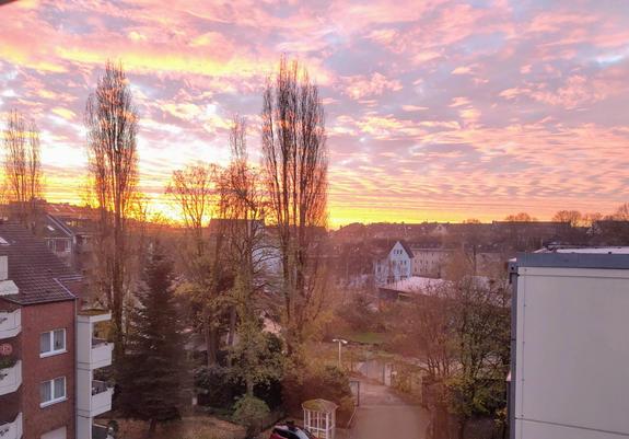 Bäume und Häuser. Am Horizont geht die Sonne auf und färbt den Himmel in Pastelltöne.