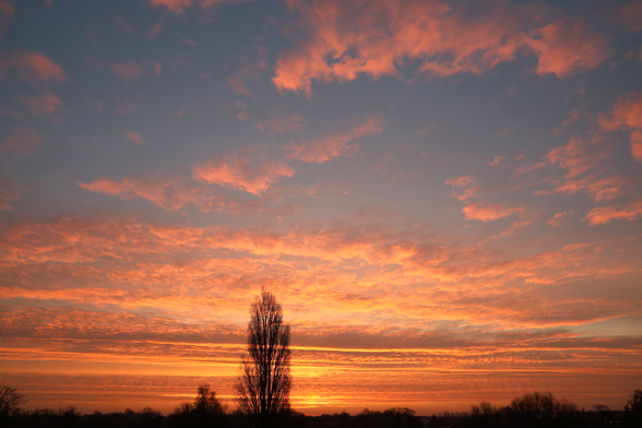 Ein farbenfroher Sonnenaufgang über Bremen: Blauer Himmel und rot angestrahlte Wolken.