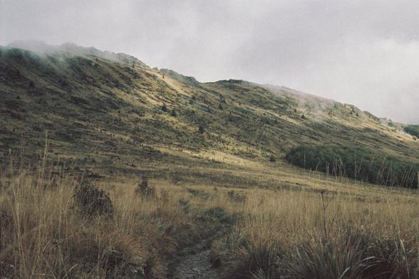 A heathland with dry grass, trees visible and mist breaking through them, in the background there are mountains.