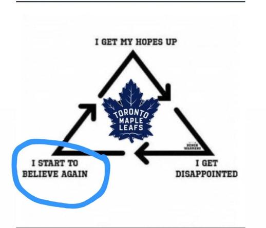 the Leafs won the hockey game