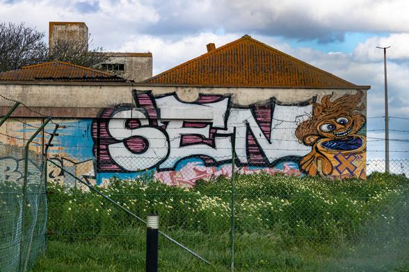 In the distance, on a vacant, low-rise concrete building with two red gabled roofs, the letters "S E N" are written in large white graffiti against a bright pink background. Next to it, in orange, is a cartoon character with large eyes and disheveled hair. Behind the buildings, a beautiful blue sky with white clouds, and in the foreground, green grass with an abundance of yellow and white flowers. To the left, a fence with its mesh loose. It's somehow an attractive sight.