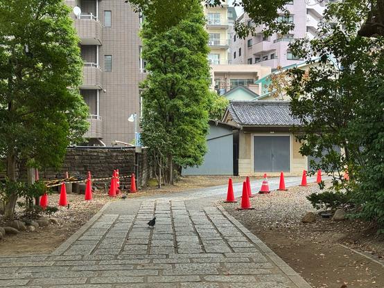 根津神社（2025-11-25）