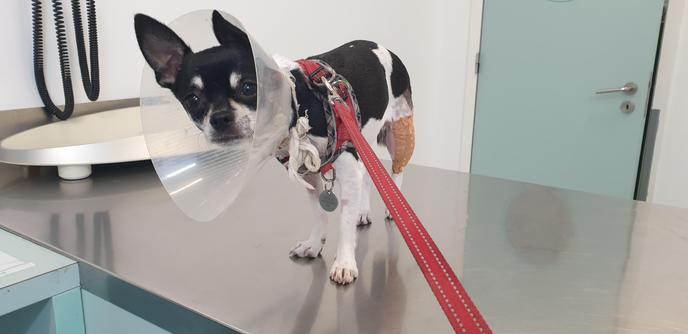 Tomorrow and Saturday we have to check again