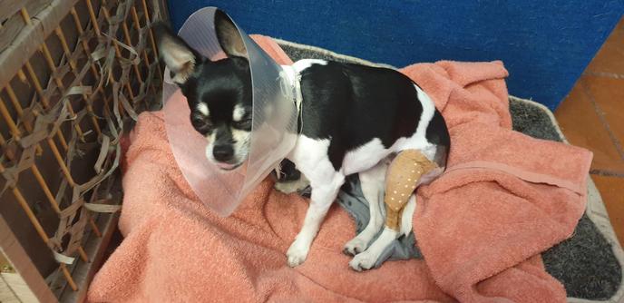 And ready to rest a bit more