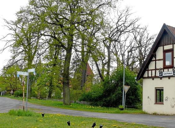 Ländliche Szene mit Fachwerkhaus, Baum und Wegweisern. Gelbe Blumen am Straßenrand, grüner Hintergrund.