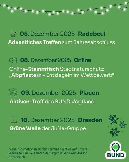 Grüne Grafik mit einer Lichterkette am oberen Rand. Aufgelistet sind Termine vom 5. bis 10. Dezember 2025: ein adventliches Treffen in Radebeul, ein Online-Stammtisch zum Thema Stadt naturschutz und Entsiegelung, ein Aktiventreff in Plauen und ein Treffen der JuNa-Gruppe Grüne Welle in Dresden.