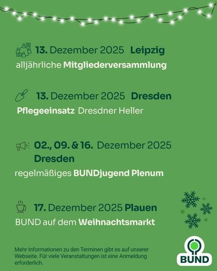 Grüne Grafik mit Lichterkette und Schneeflocken. Aufgelistet sind Veranstaltungen im Dezember 2025: Mitgliederversammlung in Leipzig, Pflegeeinsatz am Dresdner Heller, regelmäßige BUNDjugend-Plena in Dresden sowie ein BUND-Stand auf dem Weihnachtsmarkt in Plauen.
