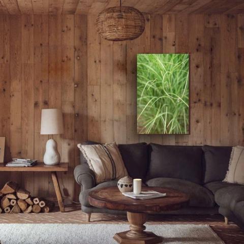 Dancing grasses carve delicate notes in the wind