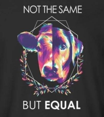 SCHRIFT:
NOT THE SAME BUT EQUAL
TSHIRT, BILD KOPF HALB HUND HALB KALB, BUNT
