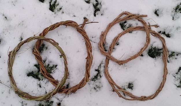 Lonicera prunings formed to wreaths, lying on snow covered ground