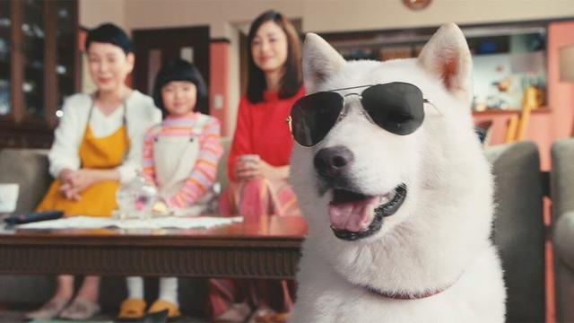 上戸彩＆永尾柚乃、“お父さん”にサングラスをプレゼント　まるで映画スター！？　ソフトバンク新CM「白戸家 お父さんスターになる」編