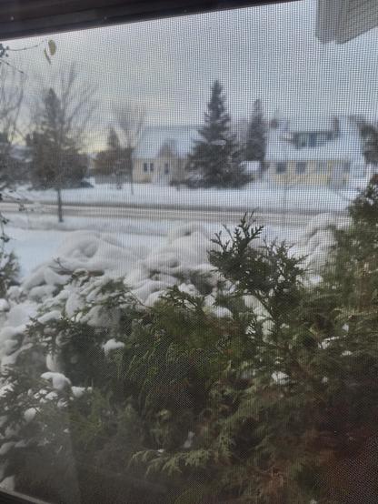 A view outside my home in Superior, Wisconsin on November 27, 2025. It is a "White Thanksgiving" with about 6 inches of snow on the ground.