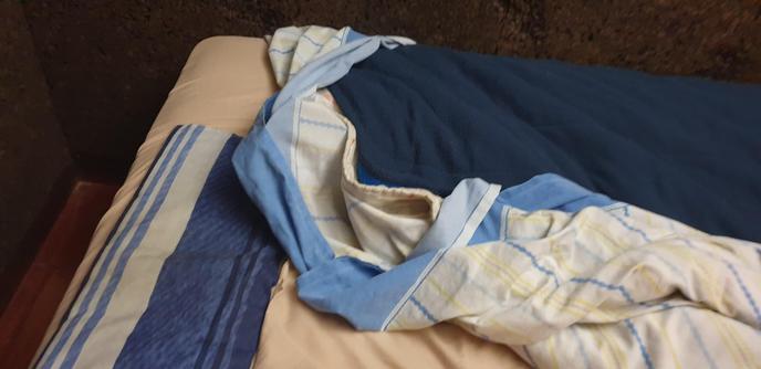 niki still loves to sleep in my bed