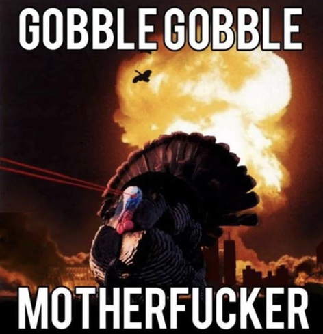 A menacing turkey with laser eyes stands in front of a mushroom cloud explosion. The caption screams “GOBBLE GOBBLE MOTHERFUCKER.” It’s giving warbird realness. This turkey didn’t come to be served—he came to serve justice, nuclear-style.