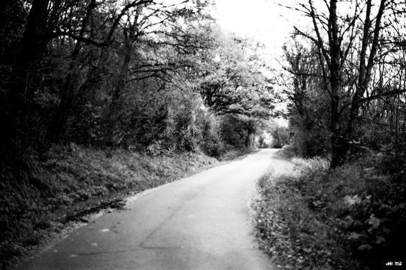 Black and white photo taken during a walk in the Swabian Jura in southern Germany. Leica R4 with 50 mm Leitz Summilux on Rollei RPX25 film.