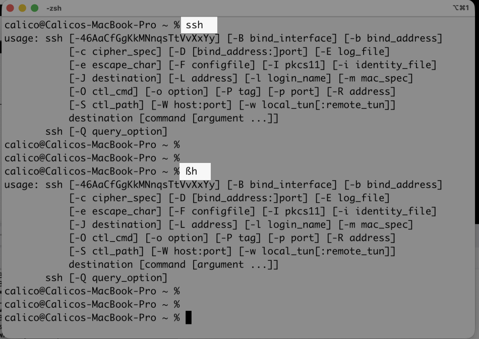 A screenshot showing that on macos you can use ßh as a synonym for ssh