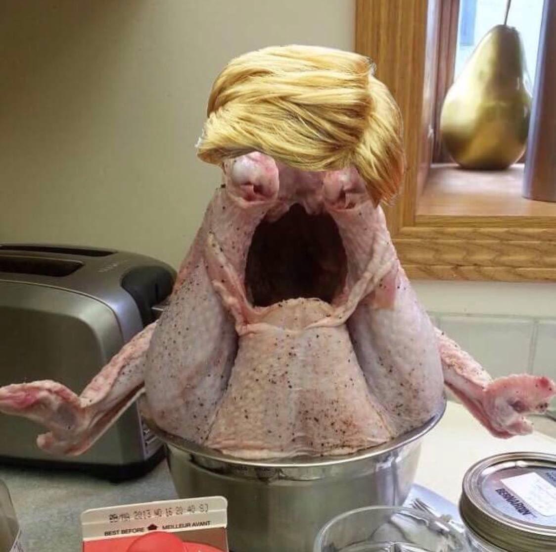 Raw turkey with blond wig looks like Trump yelling belligerently