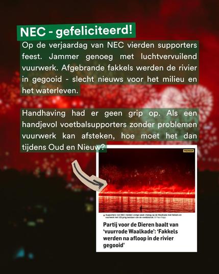 Een grafisch vormgegeven afbeelding met een rode achtergrond van vuurwerk boven water. Bovenaan staat in een groen kader: ‘NEC – gefeliciteerd!’. Daaronder volgt witte tekst over supporters van NEC die vervuilend vuurwerk gebruikten en fakkels in de rivier gooiden. Onderaan links staat een pijl die wijst naar een krantenartikel met een foto van felrode fakkels langs de Waal en de kop: ‘Partij voor de Dieren baalt van ‘vuurrode Waalkade’: “Fakkels werden na afloop in de rivier gegooid”.’