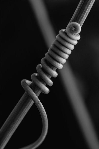 Close-up black-and-white macro photograph of a passion fruit tendril tightly coiled around a stem, revealing fine textures and spiral details against a dark background.