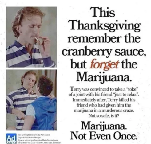 A man named Terry is shown smoking a joint and then immediately grabbing another man by the collar. The text dramatically warns readers to “forget the marijuana” at Thanksgiving, claiming Terry murdered his friend after one puff. Cranberry sauce is weirdly promoted. Reads like a horror movie pitched by a Puritan aunt.