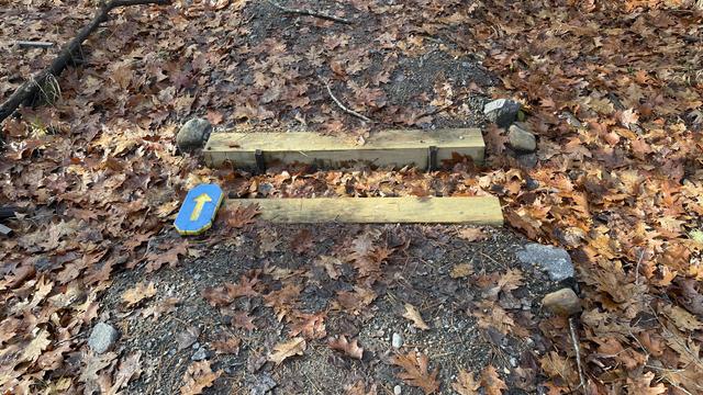 Photo of a very short bridge gap on a trail with just two wooden beams separating the sides